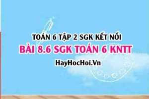 Bài 8.6 SGK Toán 6 tập 2 Kết nối tri thức